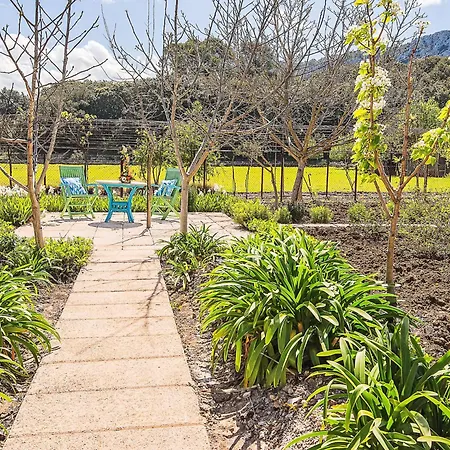 Colonya Jaume By Interhome Holiday home Pollenca