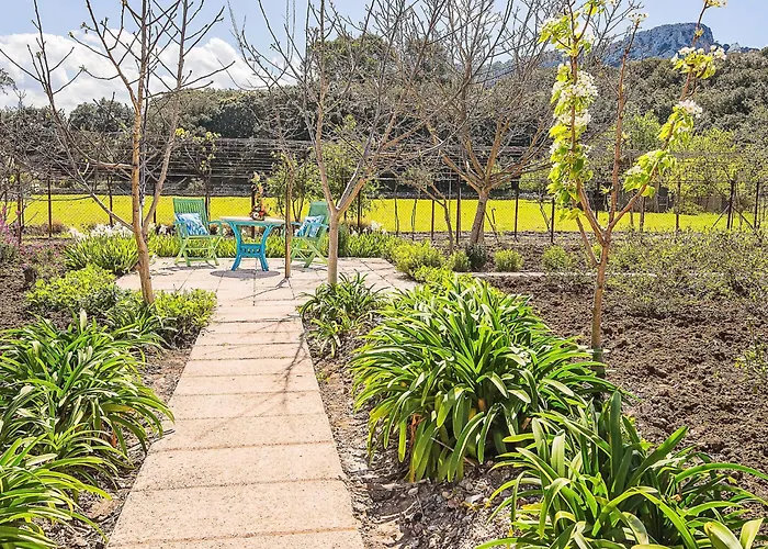 Colonya Jaume By Interhome Vakantiehuis Pollença